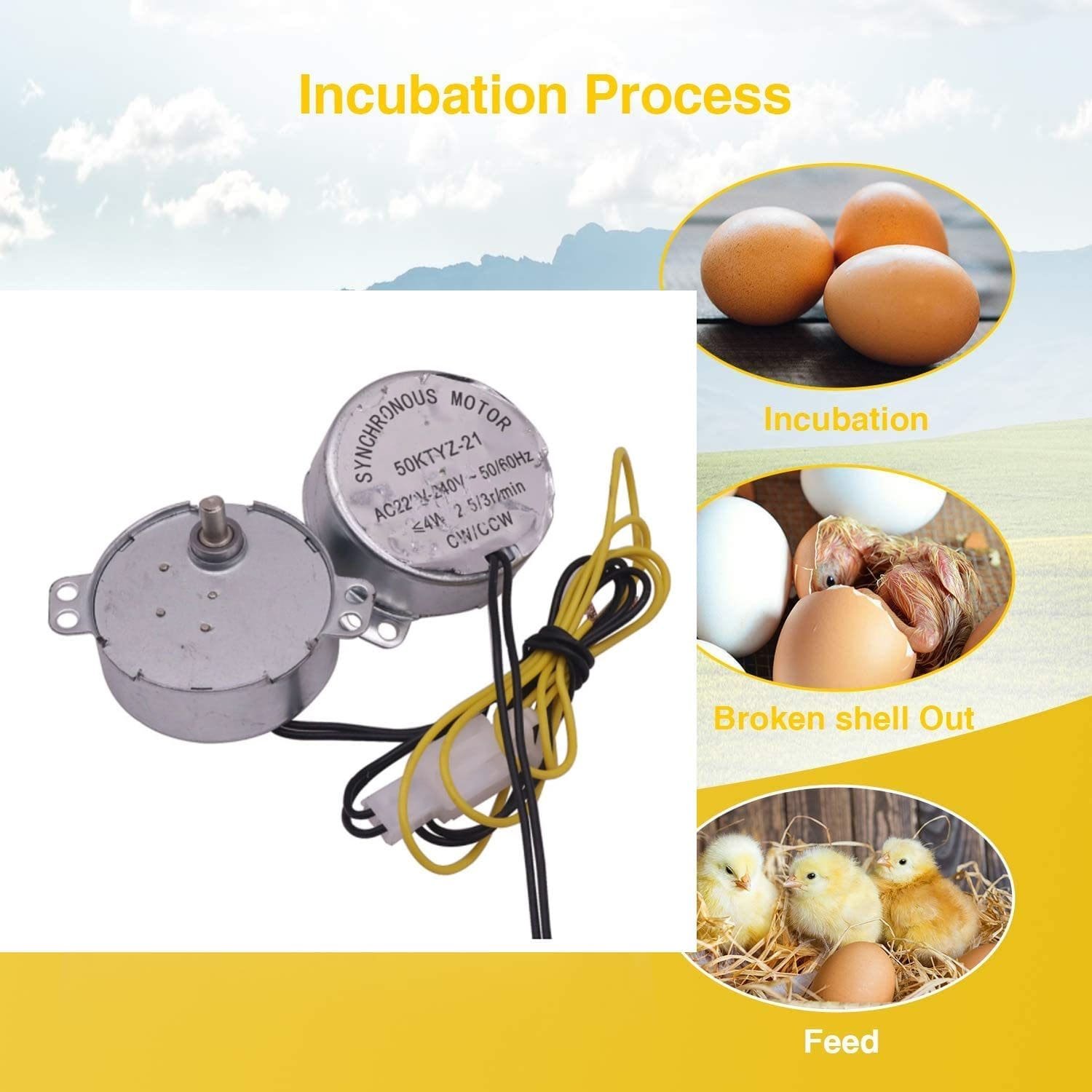 imagen 2024 05 02 223414167