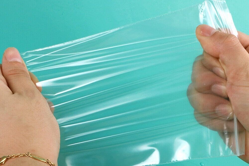 imagen 2024 08 12 101941646