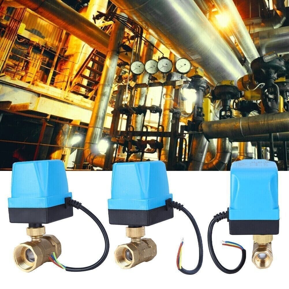 imagen_2024-09-10_161609527 imagen 2024 09 10 161609527