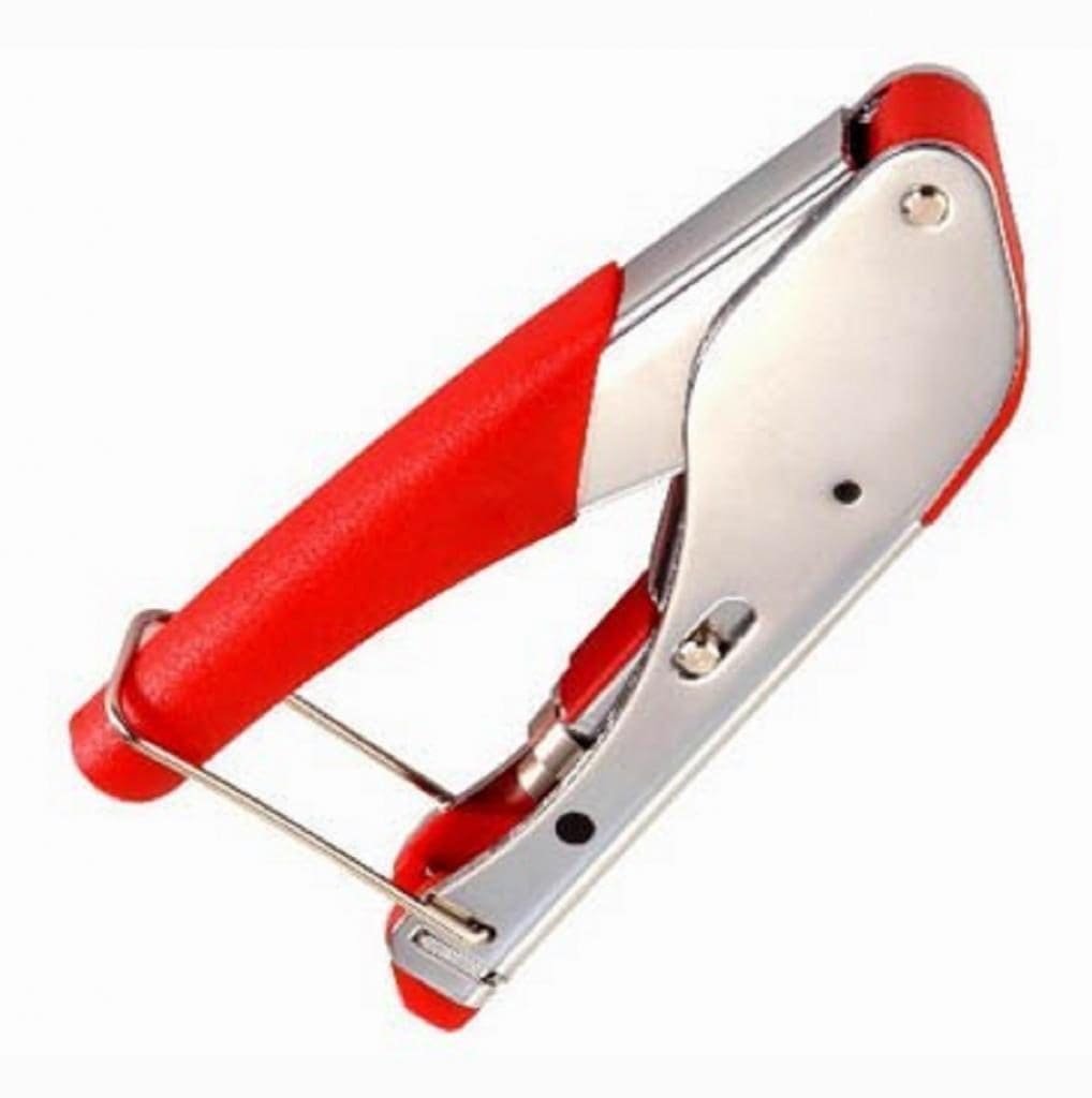 imagen 2024 09 15 215323450