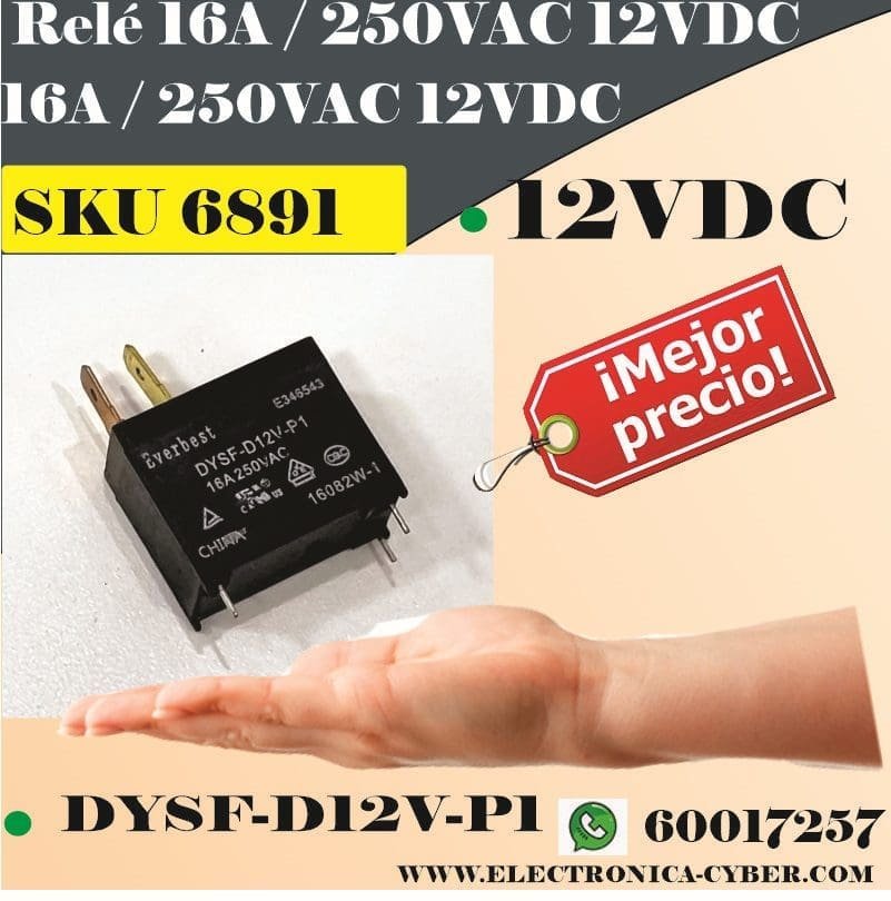 imagen 2024 06 13 145934918