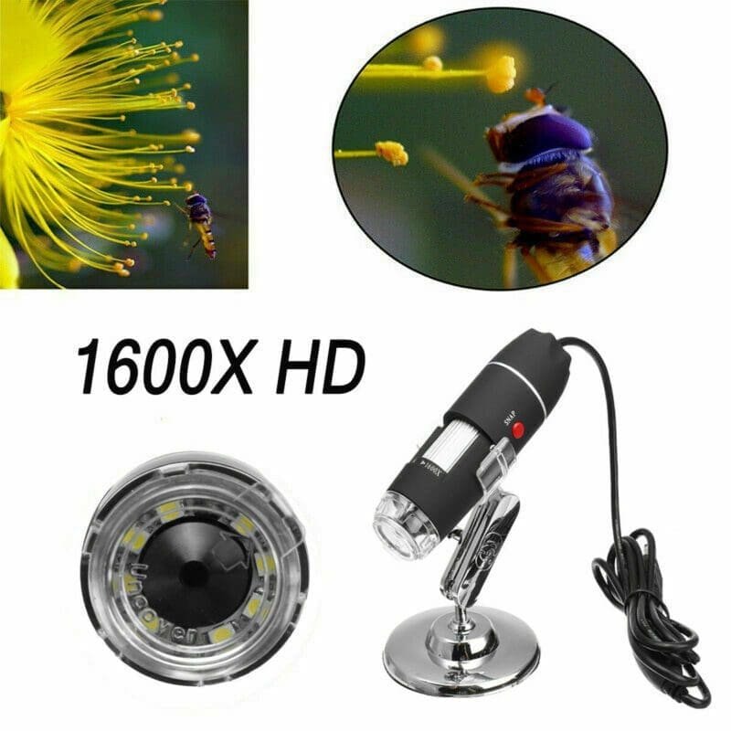 imagen 2024 09 04 231531420