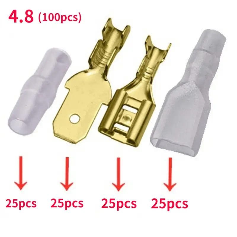 imagen 2024 10 24 013236175