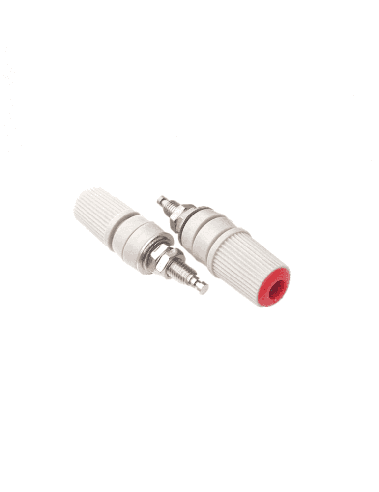 imagen 2024 10 24 014402274