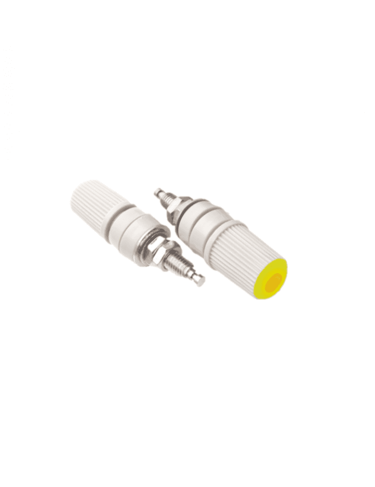 imagen 2024 10 24 014415776