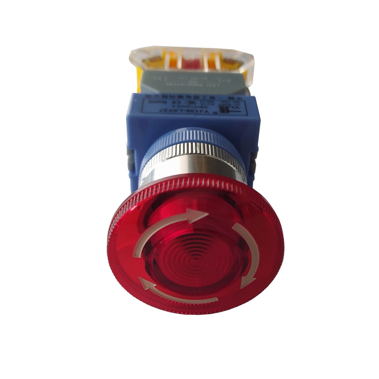 imagen 2024 11 05 185941345