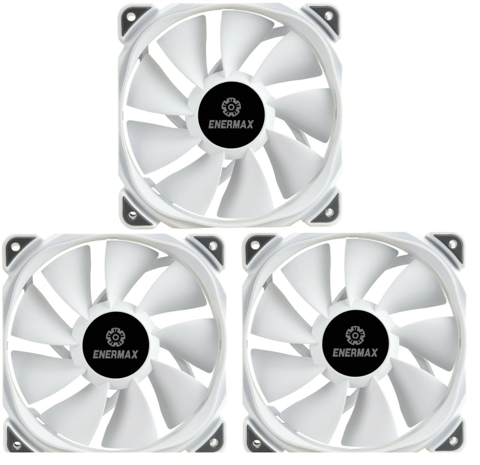 imagen 2025 02 13 150034197