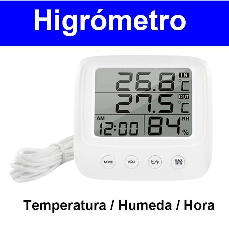 imagen 2024 09 22 181344637