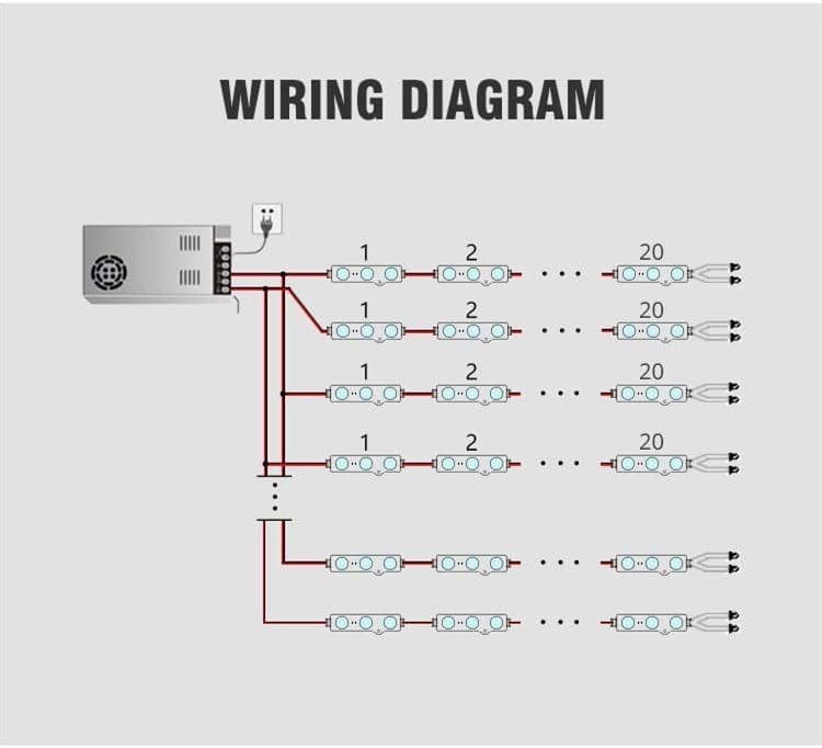 imagen 2024 11 12 200739581