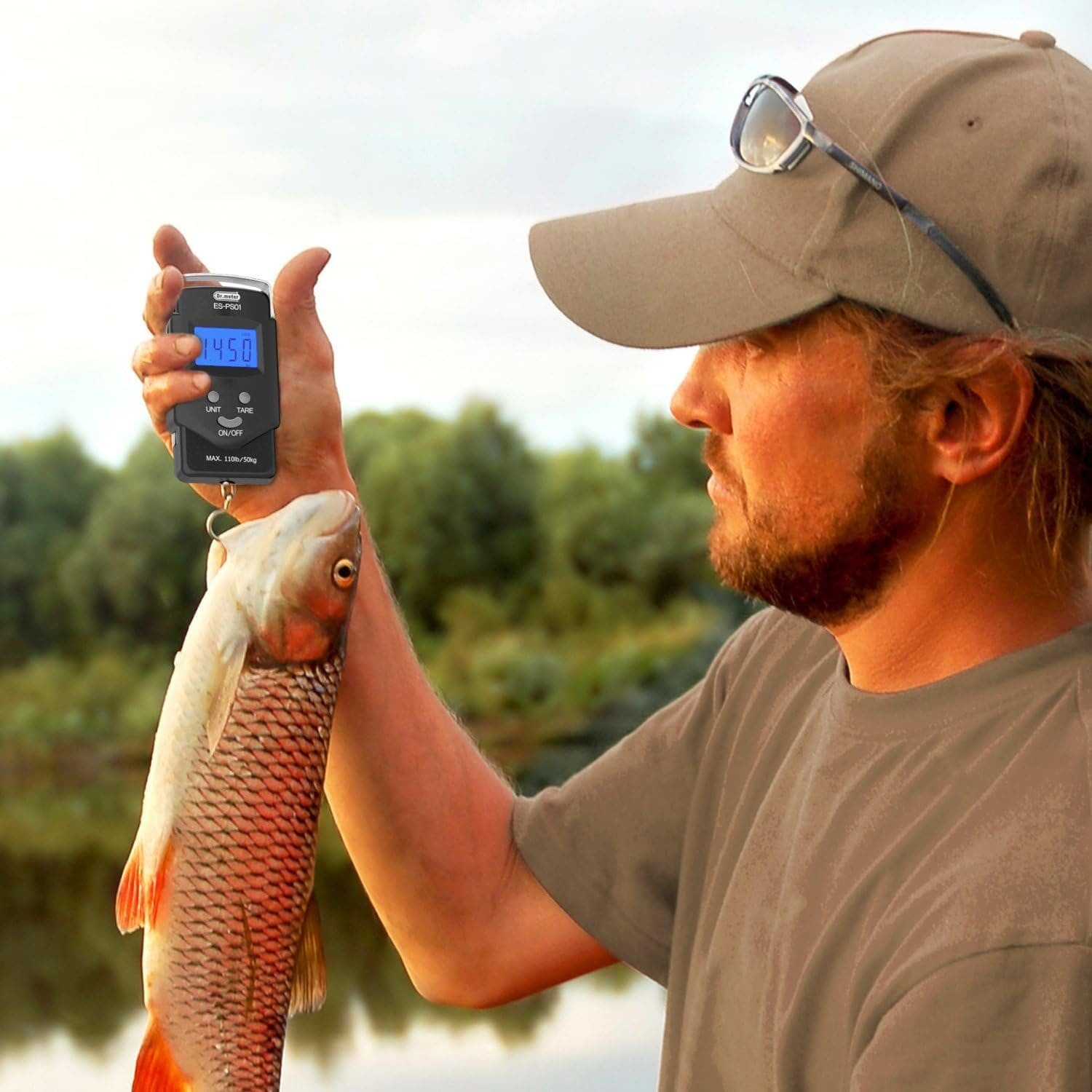 imagen 2024 11 23 121154579