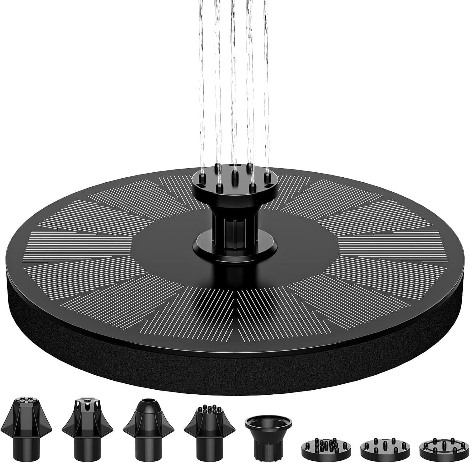 imagen 2024 11 23 163758323