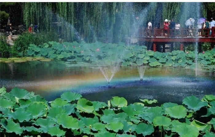 imagen 2024 11 23 163845678