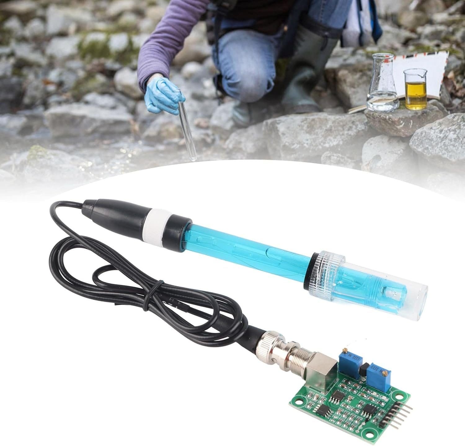 imagen 2025 01 08 163811921