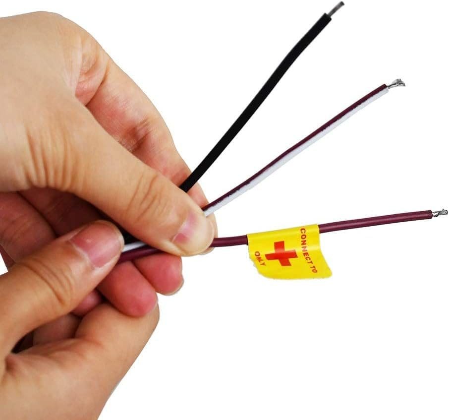 imagen 2025 01 09 091922371