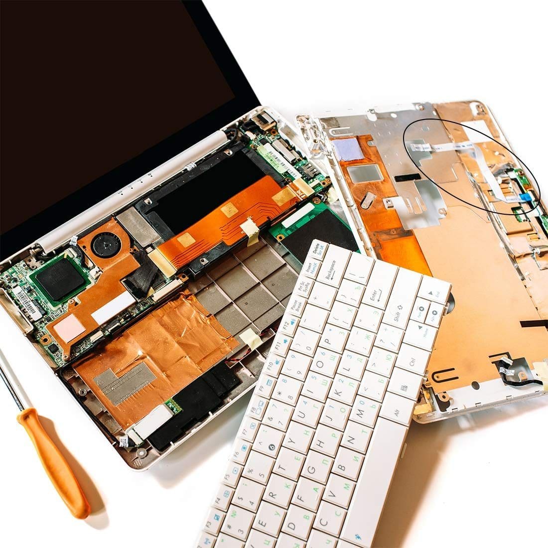 imagen 2025 01 13 234437397