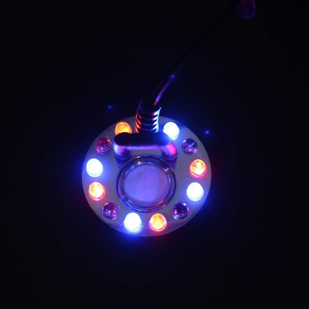 imagen 2025 01 23 044345377