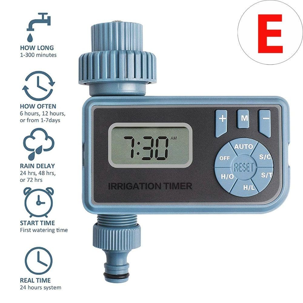 imagen 2025 01 24 205912743