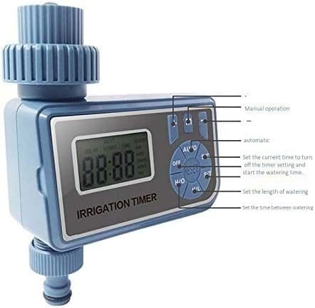 imagen 2025 01 24 210737585