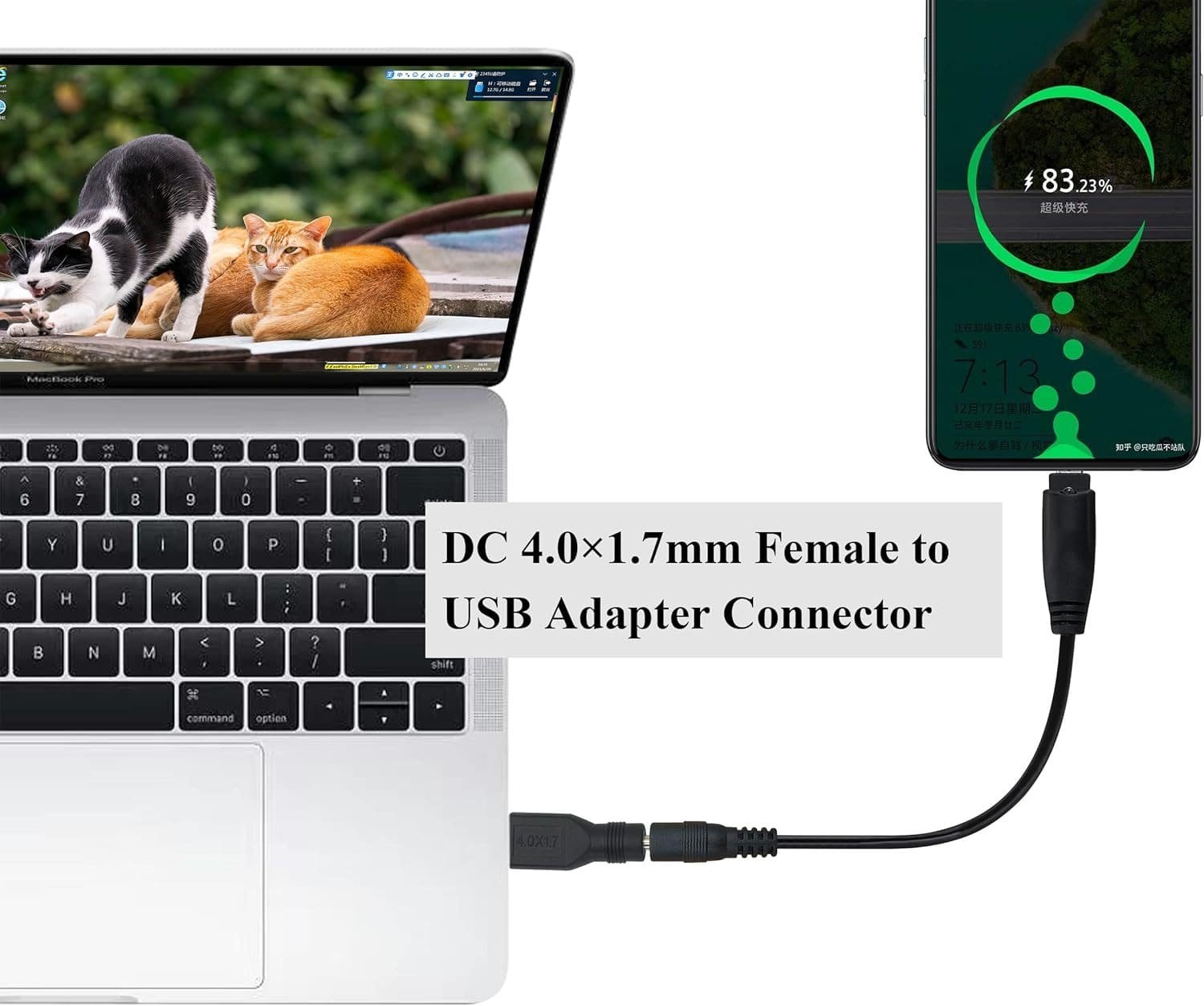 imagen 2025 01 28 160223042