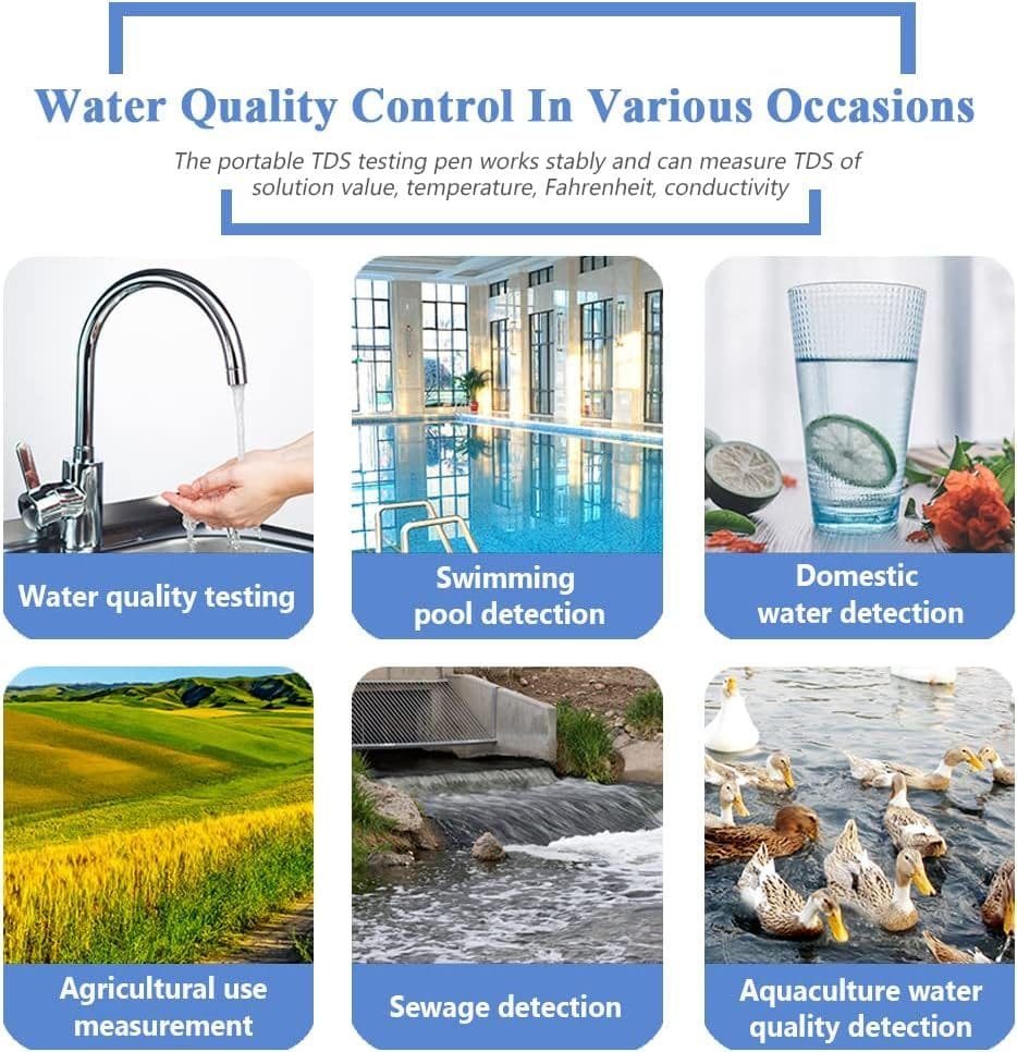 imagen 2025 01 29 115334010