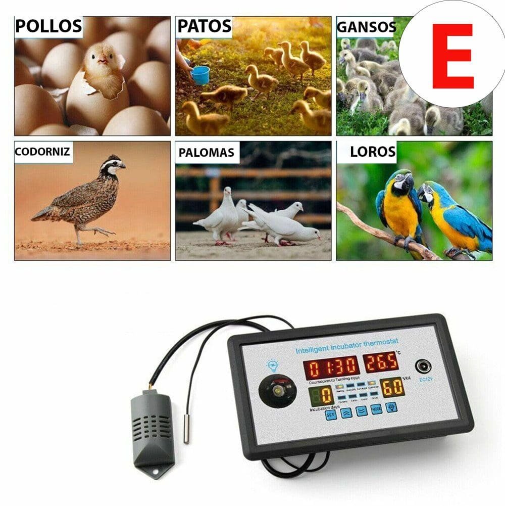 imagen 2025 02 16 215736870