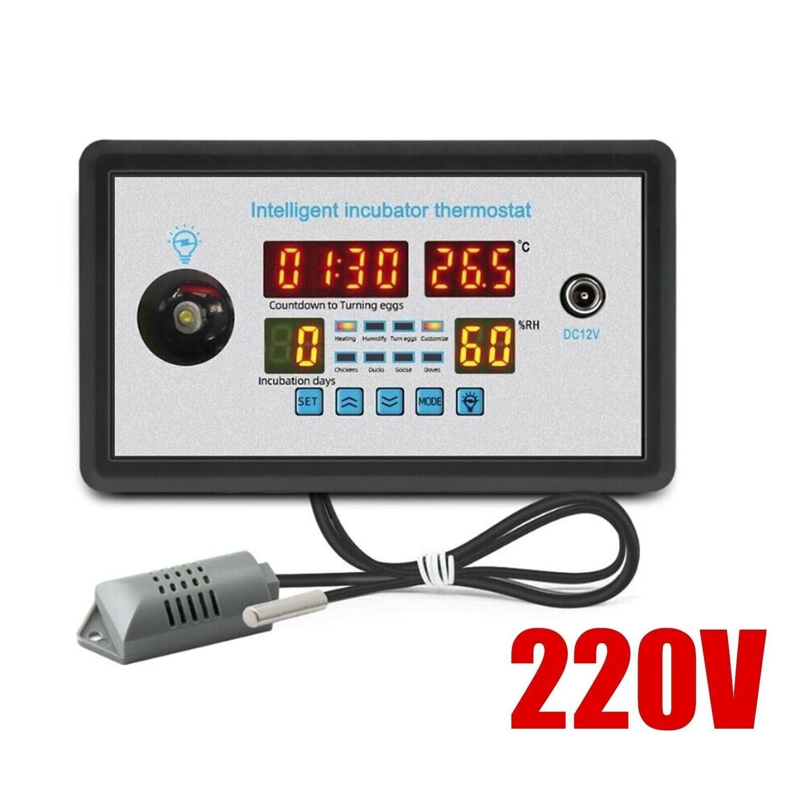 imagen 2025 02 16 215914339