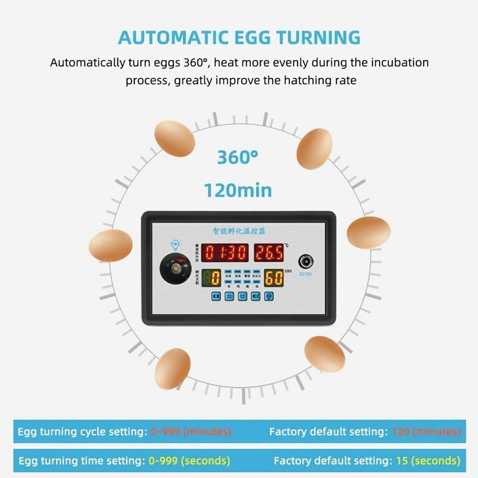 imagen 2025 02 16 220027395