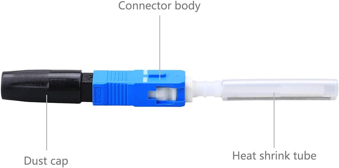 imagen 2025 03 12 232712654