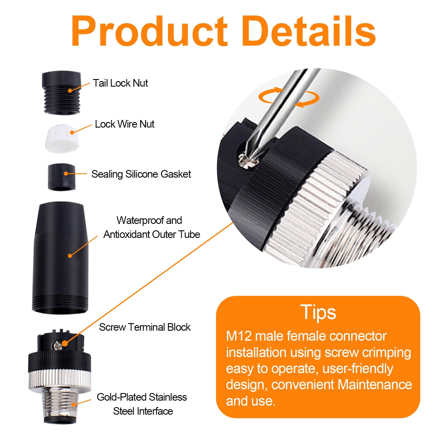 imagen 2025 03 16 001630827