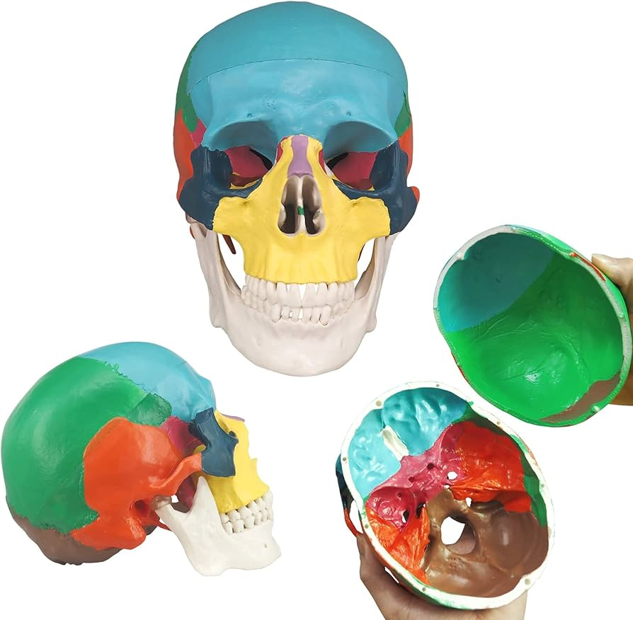 imagen_2025-05-21_223537513 imagen 2025 05 21 223537513