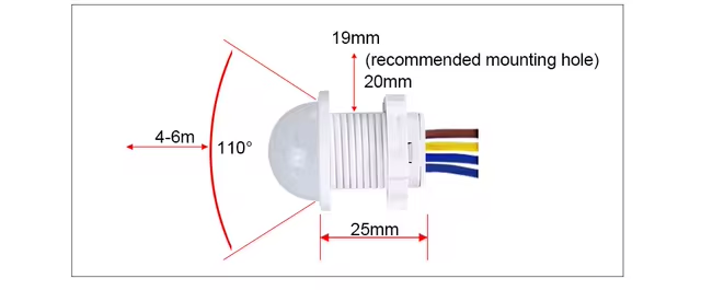 image 2025 09 01 104708762