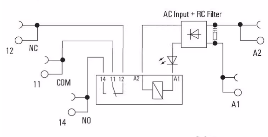 imagen 2025 10 03 072655799