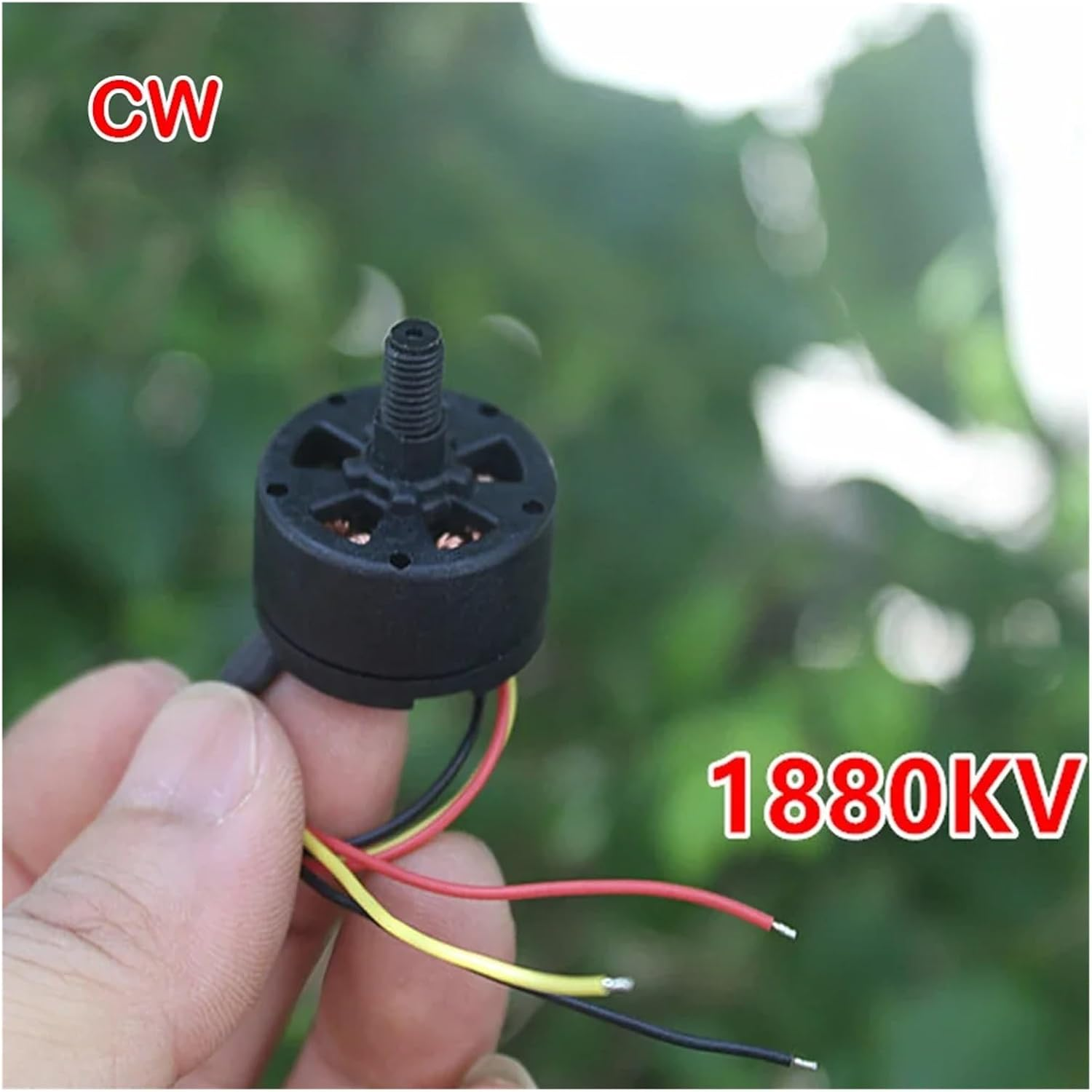 imagen_2025-11-19_213918458 imagen 2025 11 19 213918458