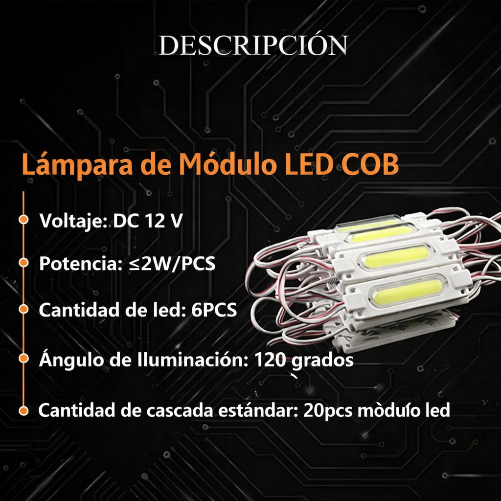 imagen 2026 01 11 123639748