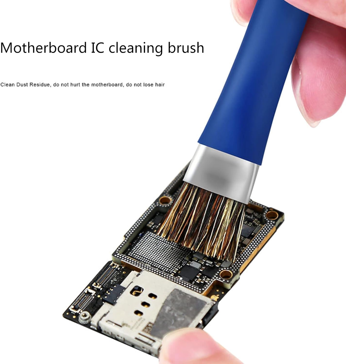 imagen 2026 02 03 211751512