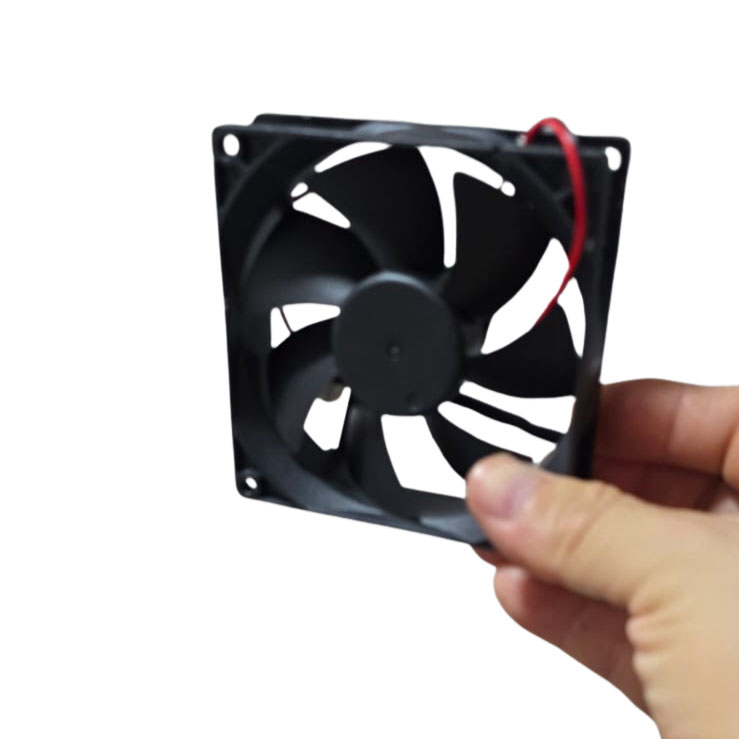 INICIO 30 imagen 2026 02 22 104158489