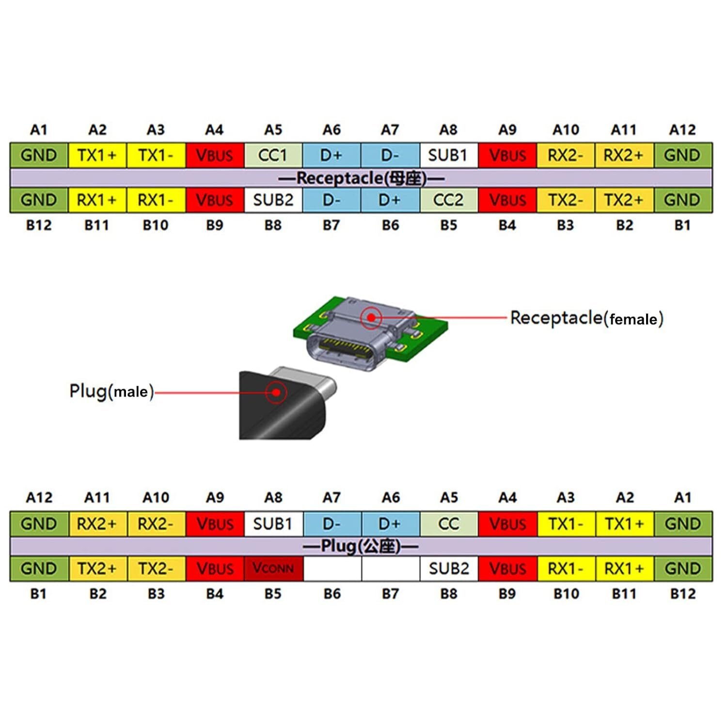 imagen 2026 03 15 204945196