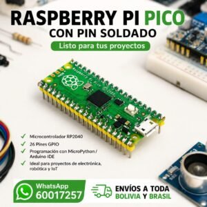 INICIO 11 Raspberry