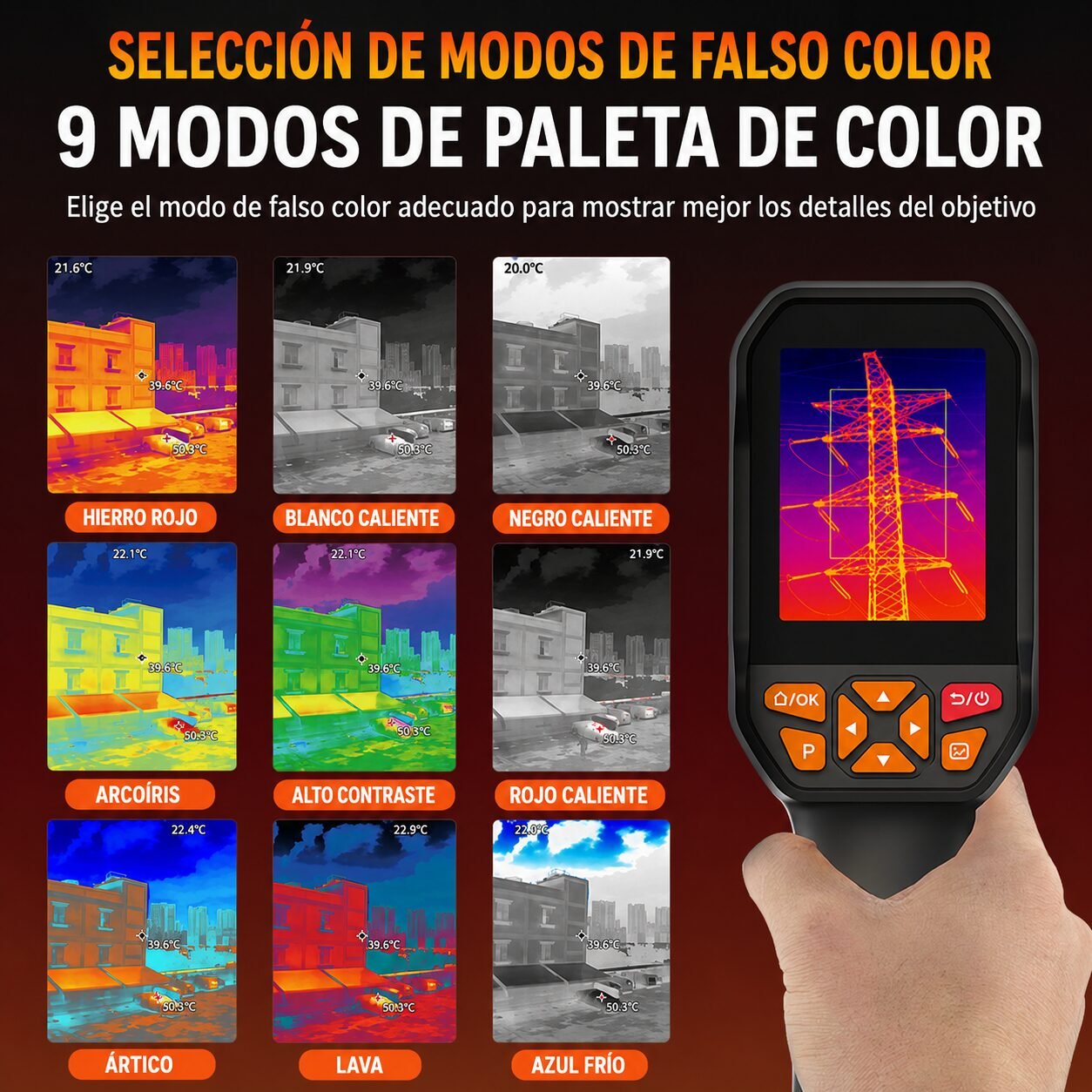 imagen 2026 07 06 203235947