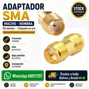 INICIO 31 SMA