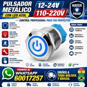 INICIO 9 Pulsador Metálico