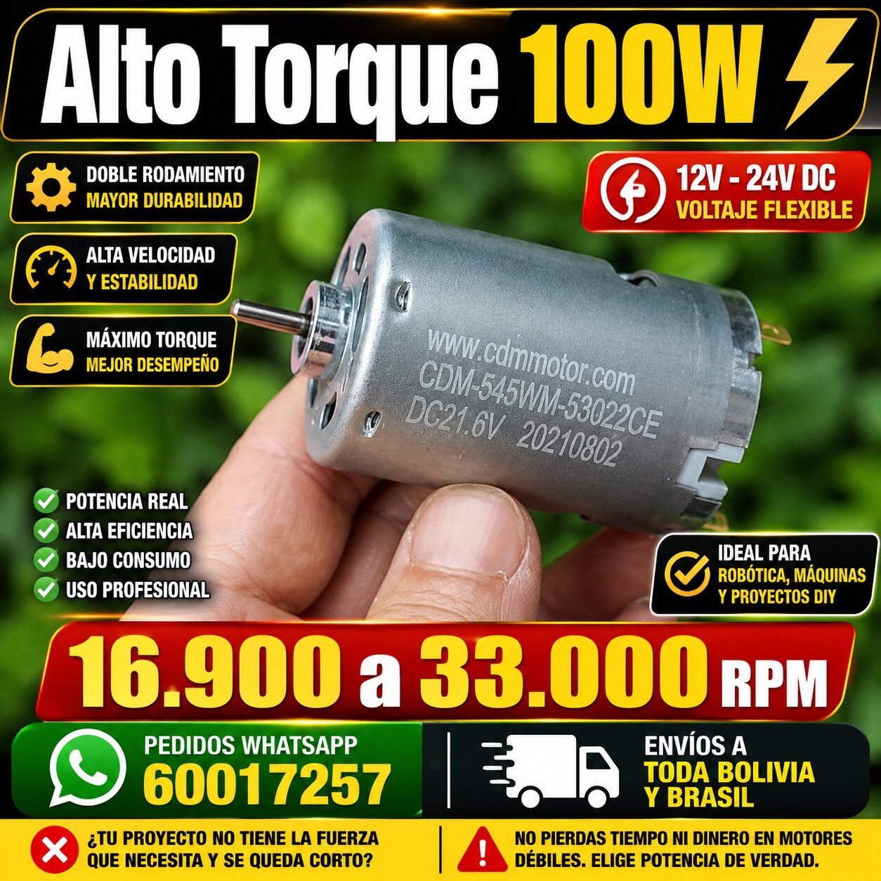 Motor