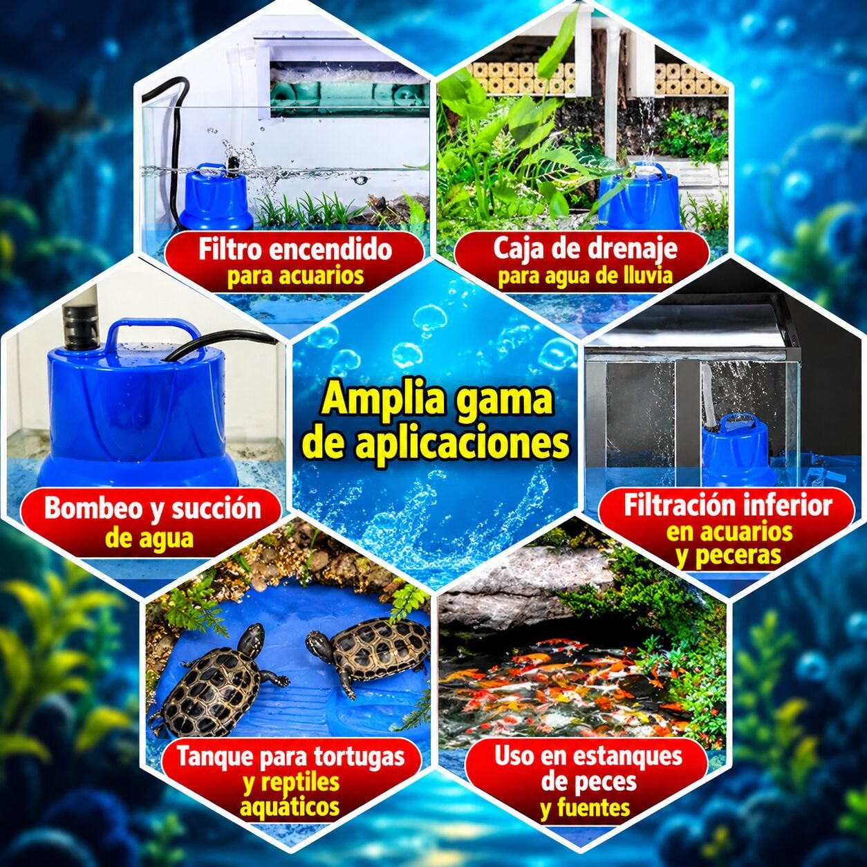 imagen 2026 09 26 181454728