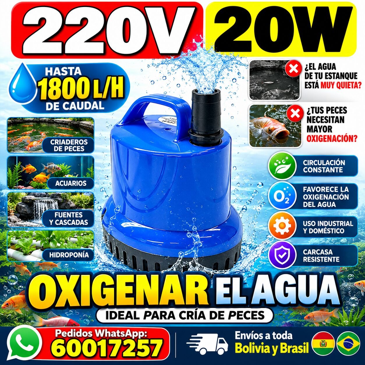 imagen 2026 09 28 120903621